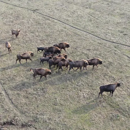 Boronahaz Fogado Szalafő
