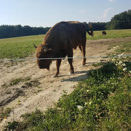 Boronaház 4* Szalafő