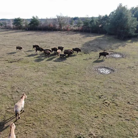 Vendégház Boronaház 4*