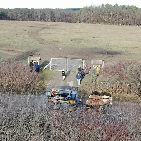 Boronaház Vendégház 4*