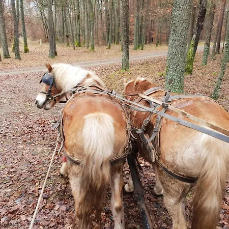 Boronahaz Fogado Szalafő